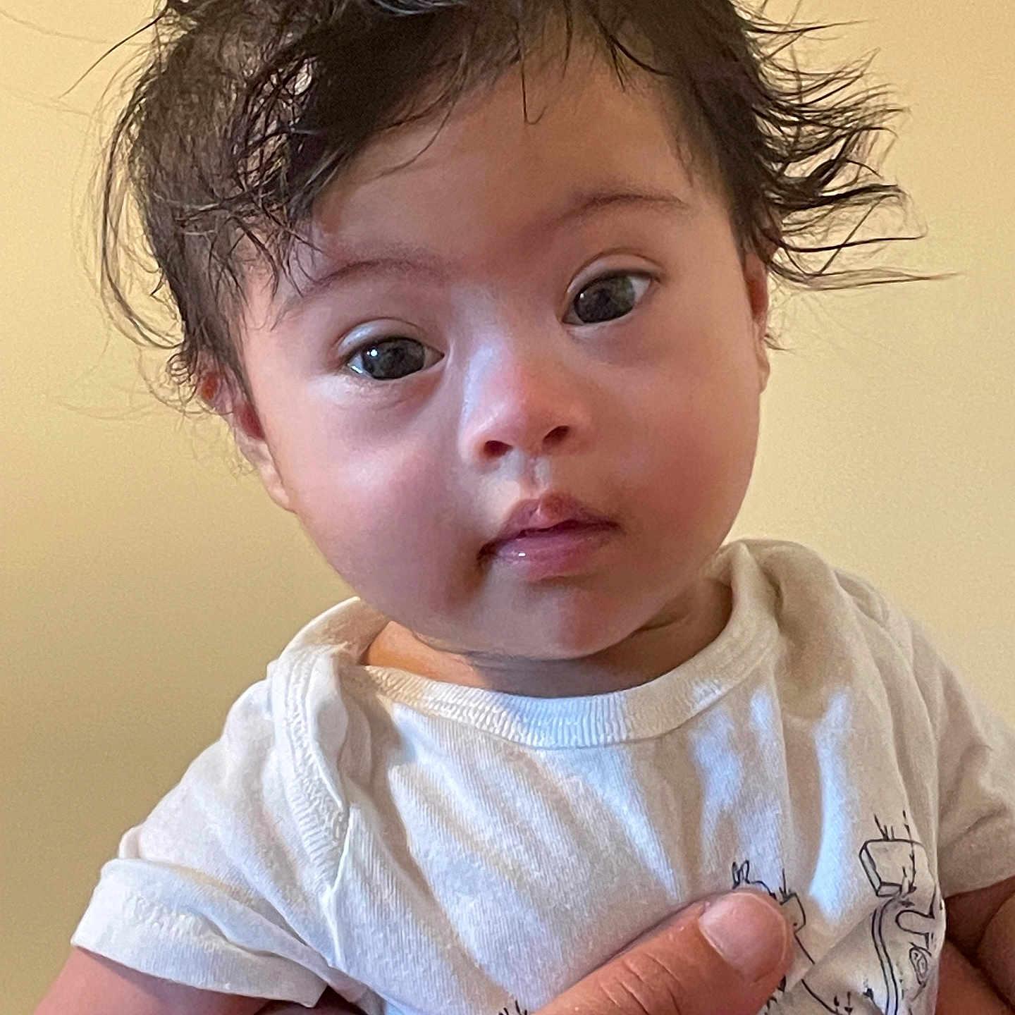 Ayan Raheem is registered to the contest to win money with this photo: baby, casual_clothing, child, curious_expression, cute, eyes, face, hair, hand, holding, human, indoor, infant, neutral_background, person, portrait, skin, toddler, white_shirt, young_child