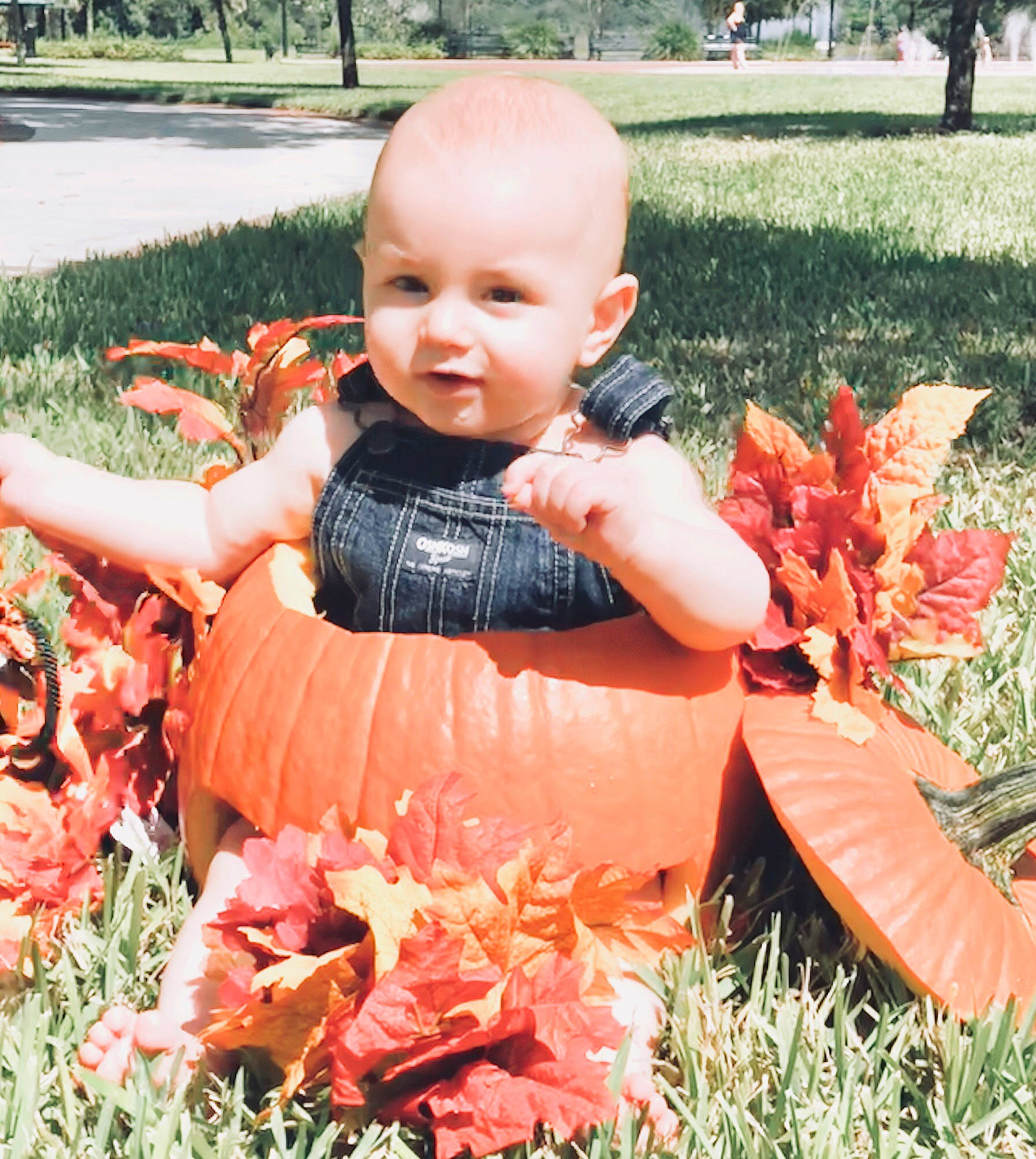Atreyu is registered to the contest to win money with this photo: baby, child, costume, dress, grass, happy, leaf, orange, peach, perennial_plant, person, pink, plant, sitting, smile, summer, toddler