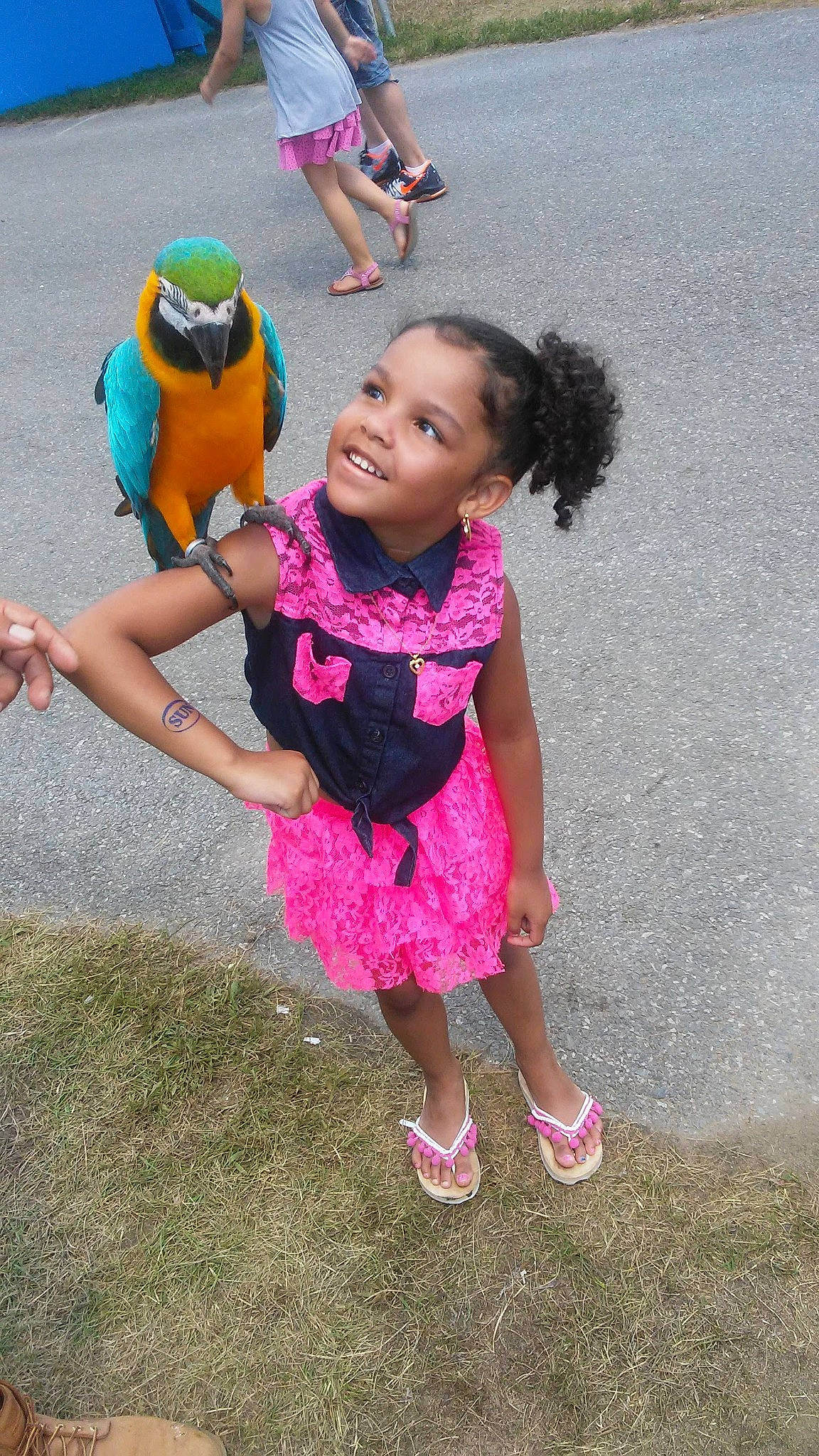 Makenna is registered to the contest to win money with this photo: adaptation, child, fun, happy, joy, person, pink, plant, play, skin, smile, summer, toddler, vacation