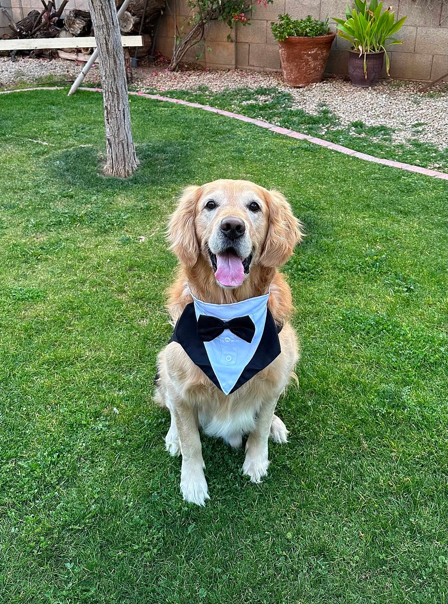 Sammy