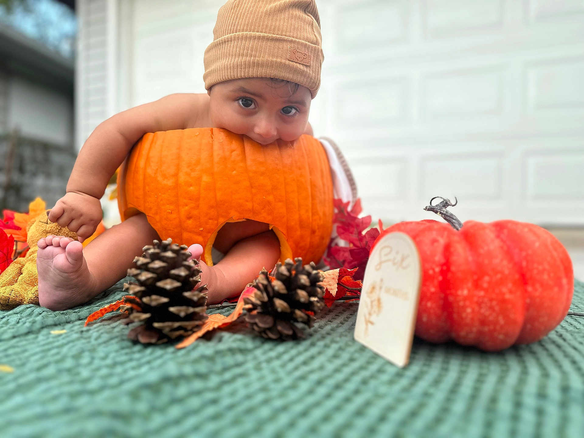 Zane joined the competition — help win amazing prizes! baby, pumpkin, hat, autumn, pinecones, leaves, orange, cute, playful, blanket, outdoor, fall, child, decor, foot, hand, garage, seasonal, holiday, smiling