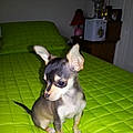 Jaen J. B.