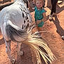 child, toddler, pony, animal, helmet, brush, dusty_ground, sunlight, outdoor, people, legs, shoes, green_outfit, spotted_pony, tail, fence, brushing, happy, daytime, playful