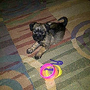 Emma is registered to the contest to win money with this photo: