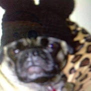 Sammy joined the competition — help win amazing prizes!