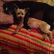 Twinker And Emma is registered to the contest to win money with this photo: