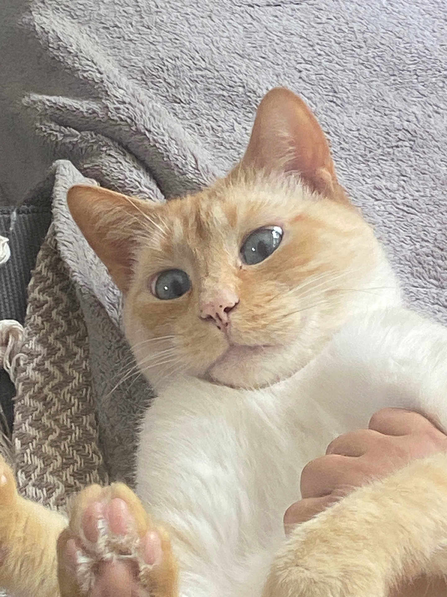 Coco