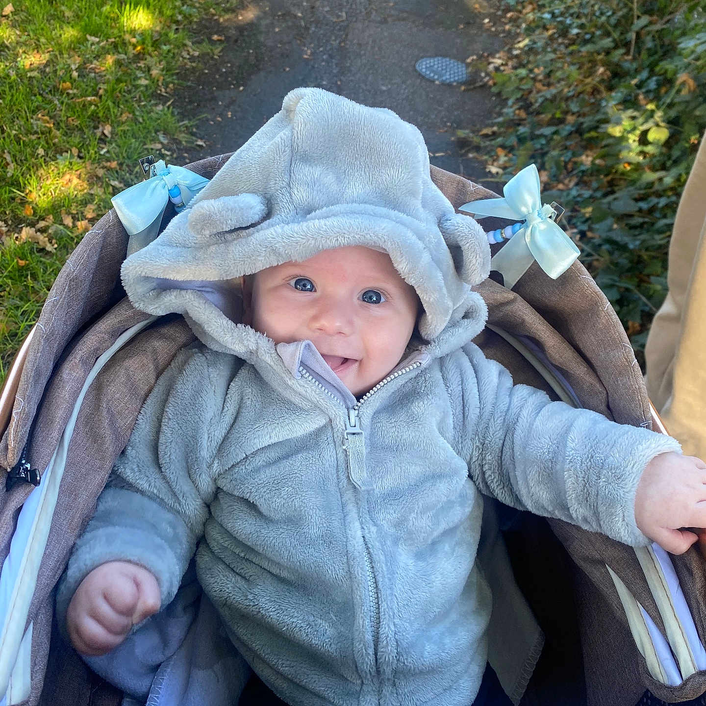 Blu-Lewis is registered to the contest to win money with this photo: baby, babywear, child, clothing, cold_weather, cute, cute_expression, face, greenery, happy, hoodie, infant, infant_clothing, joyful, nature, outdoor, path, person, smile, stroller