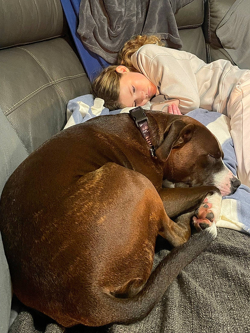 Jaxon is registered to the contest to win money with this photo: blanket, brown_dog, casual_clothing, child, collar, comfort, couch, cozy, curled_up, curly_hair, dog, girl, home, indoor, napping, pet, relaxed, resting, sleeping, soft_lighting