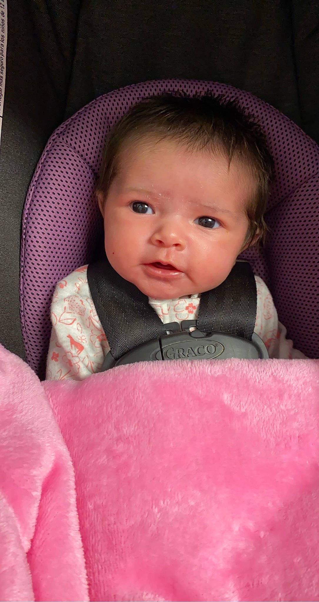 Willow joined the competition — help win amazing prizes! baby, baby_toddler_clothing, cheek, chin, collar, comfort, dress, eyebrow, flash_photography, iris, lip, mouth, neck, nose, outerwear, person, pink, skin, sleeve, textile