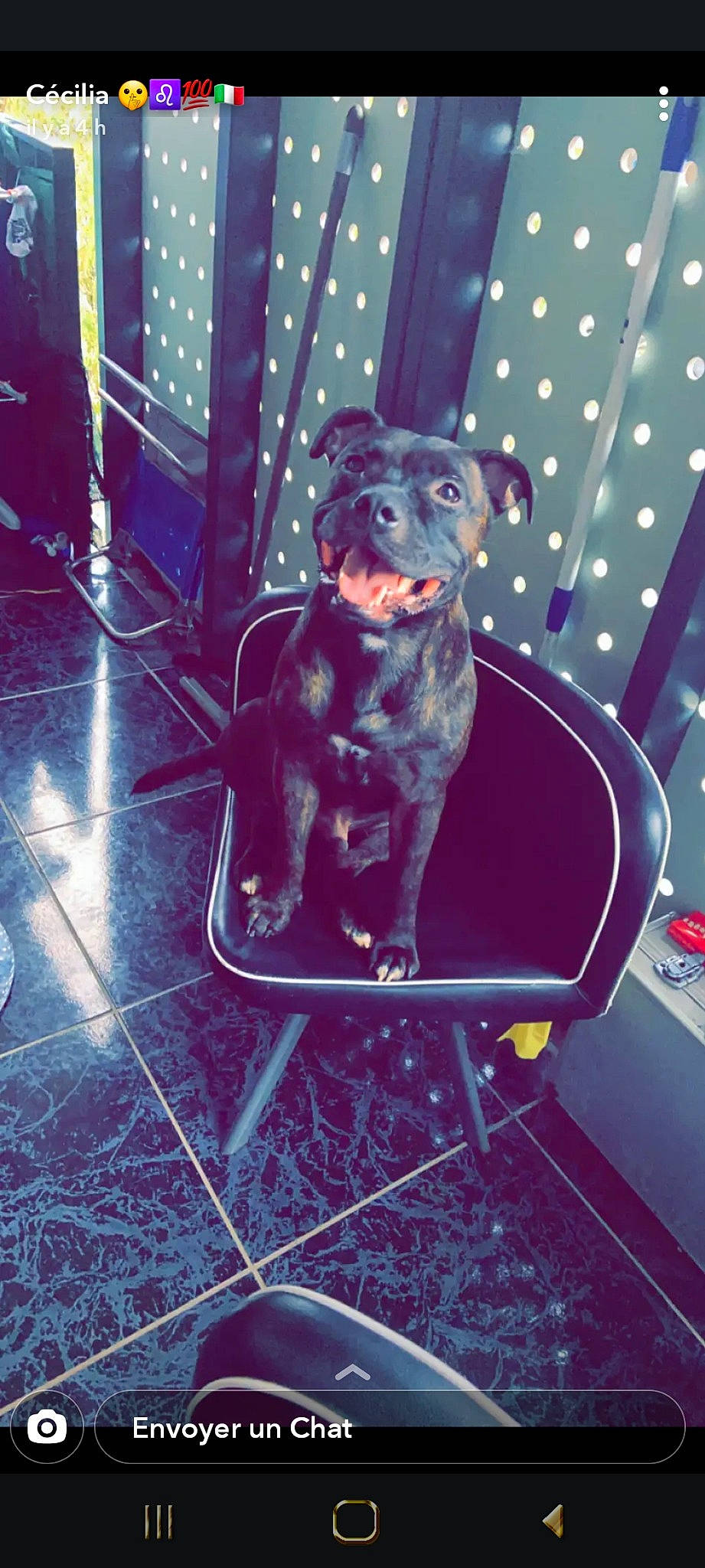 Tyson