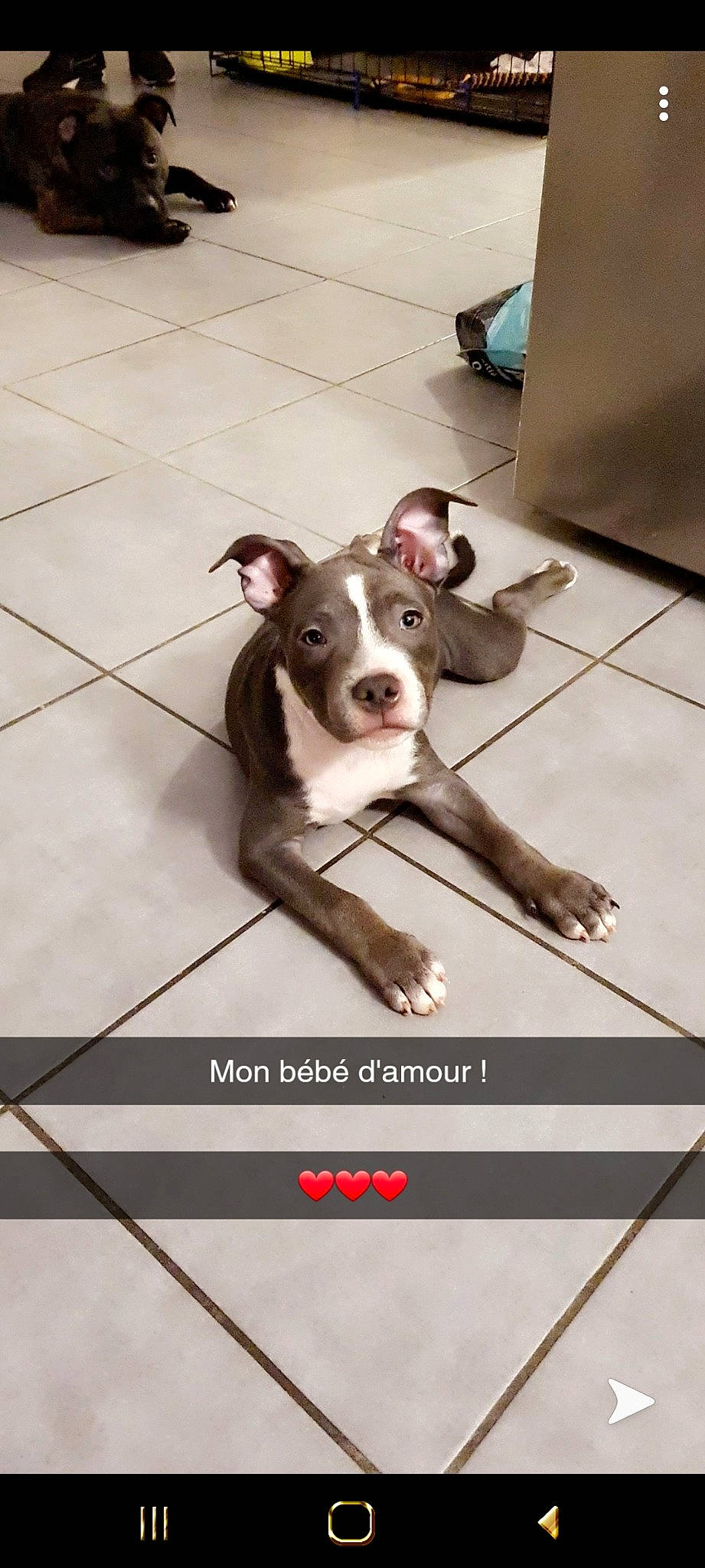 Marley