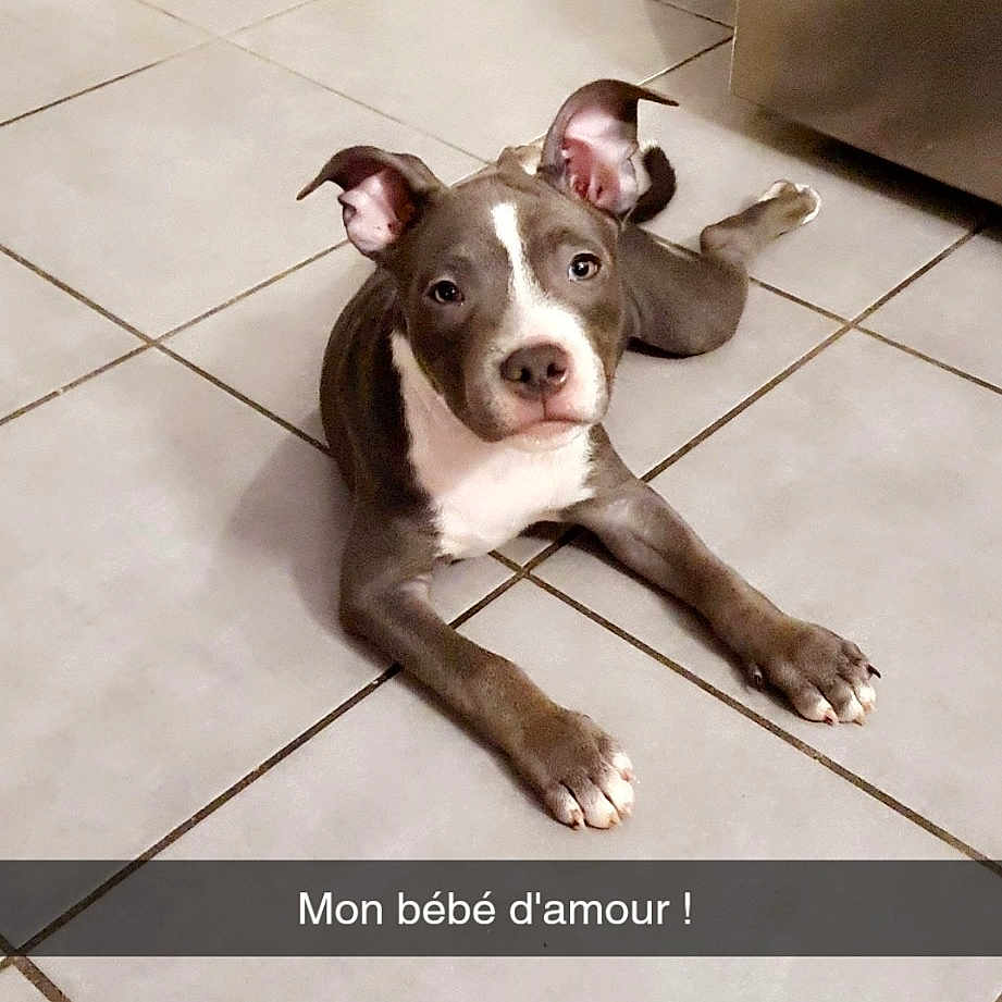 Marley