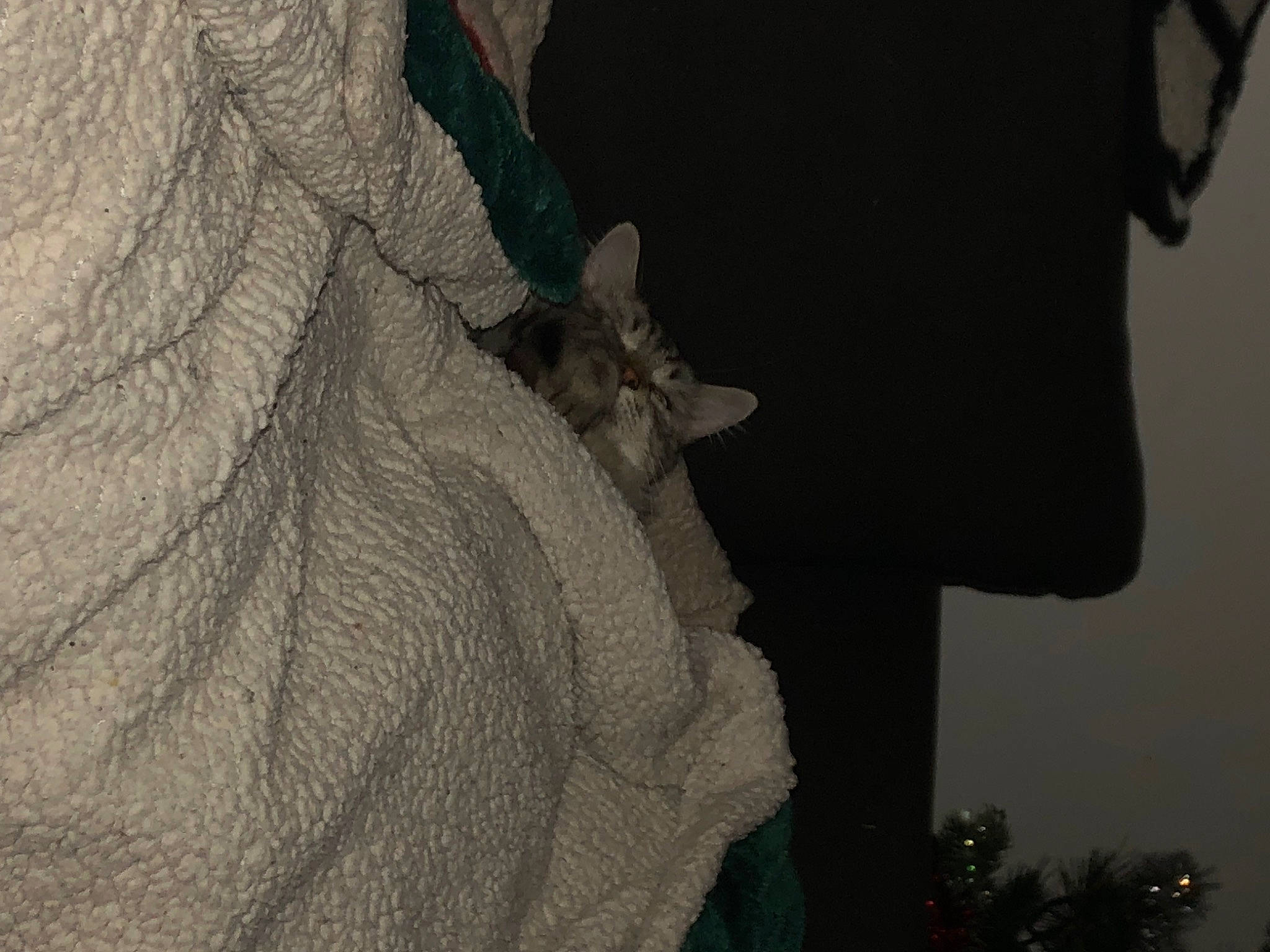 Moon a rejoint le concours — aidez-le/la à gagner de superbes lots ! darkness, fur, grey, human_leg, monochrome_photography, rock, shadow, sleeve, soil, tints_and_shades, trunk, visual_arts, wood, wool, wrinkle