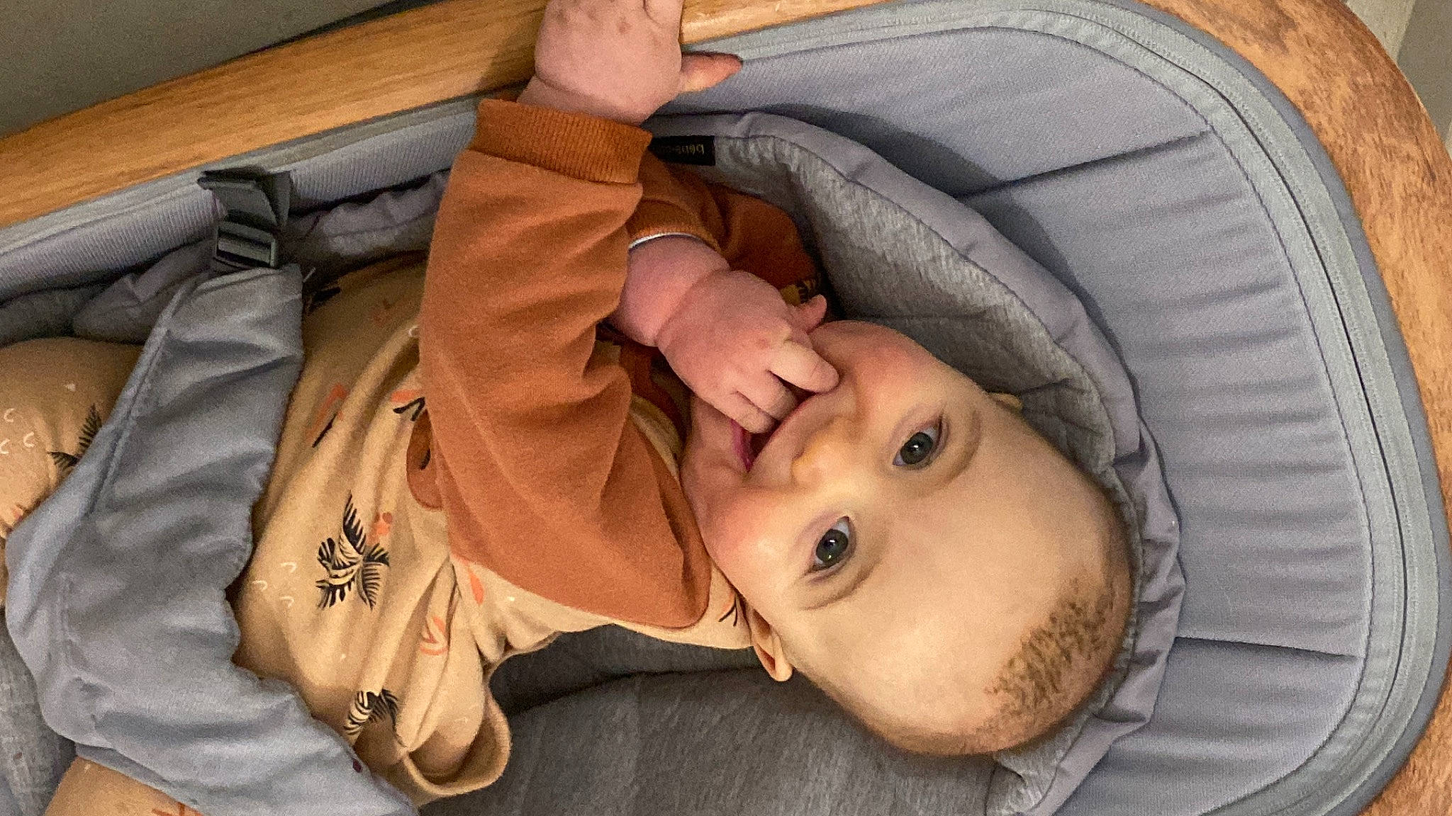 Sunny participe au concours pour gagner de l'argent avec cette photo : baby, baby_carriage, baby_products, car_seat, chair, cheek, child, comfort, eyelash, fun, hat, headgear, joy, mouth, nose, person, sitting, sleep, toddler, tree