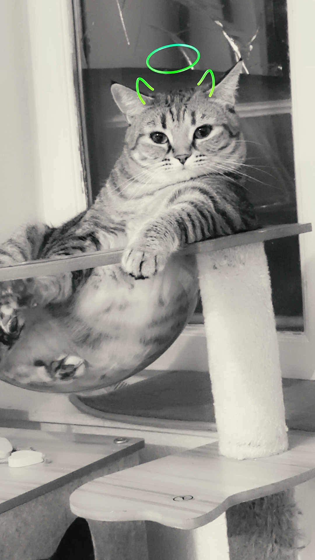 Mia