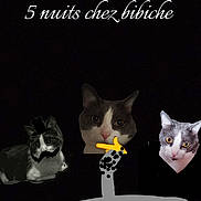 Bibiche participe au concours pour gagner de l'argent avec cette photo : cat, collage, digital_art, text_overlay, black_background, doodles, top_hat, mustache, pointing_hand, face_cutout, humor, animal, pet, gray_cat, white_cat, edited_photo, overlay, creative, dark, portrait