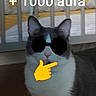 cat, indoor, furniture, crib, bed, pet, animal, text_overlay, sunglasses_drawing, emoji, blurred, gray, white, floor, domestic, funny, humorous, pointing_emoji, background, closeup