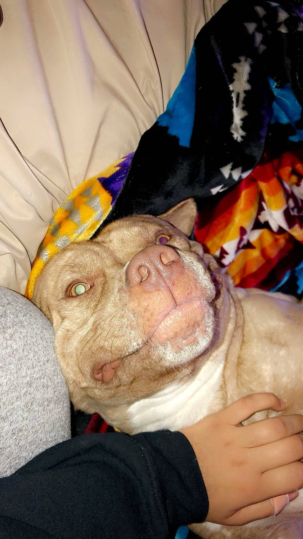 Romeo joined the competition — help win amazing prizes! child, costume, event, flesh, fun, fur, happy, hat, mouth, personal_protective_equipment, selfie, tradition, wrinkle