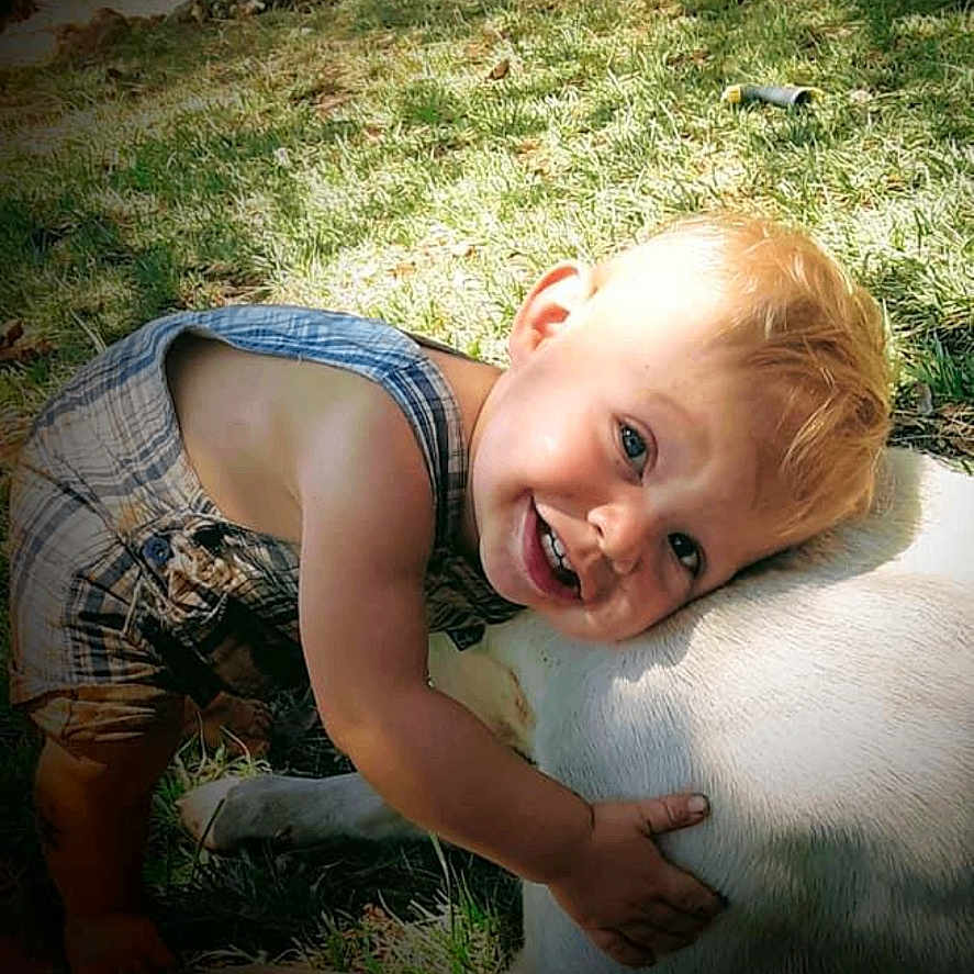 Elijah joined the competition — help win amazing prizes! baby, backyard, clothing, face, grass, head, lawn, nature, outdoors, park, person, photography, plant, portrait, pottedplant, shorts, summer, tree, vegetation, yard