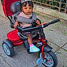 Chaya joined the competition — help win amazing prizes! birthday_girl, child, concrete, curly_hair, cute, fence, greenery, outdoor, person, pink_socks, playtime, red, seatbelt, shoes, sidewalk, stroller, tiara, toddler, tricycle, vehicle