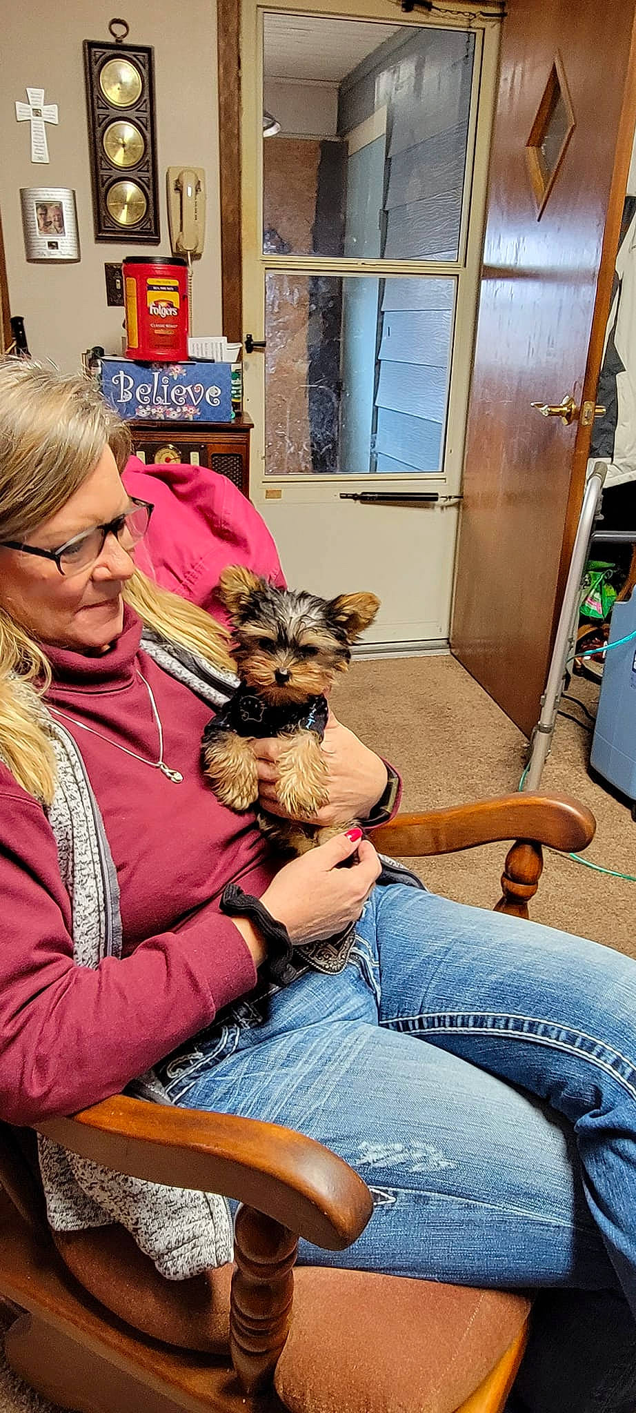 Willow Grace is registered to the contest to win money with this photo: carnivore, chair, clothing, comfort, companion_dog, dog, dog_breed, dog_supply, ear, eyewear, fawn, fur, jeans, mammal, picture_frame, small_terrier, snout, toy_dog, vertebrate, window