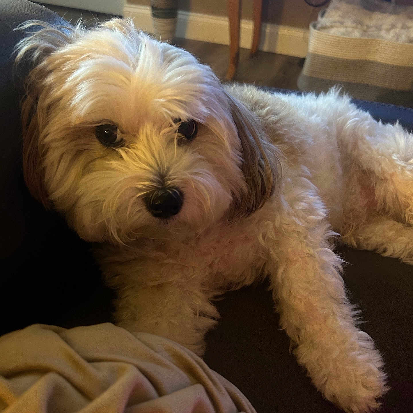 Charlie
