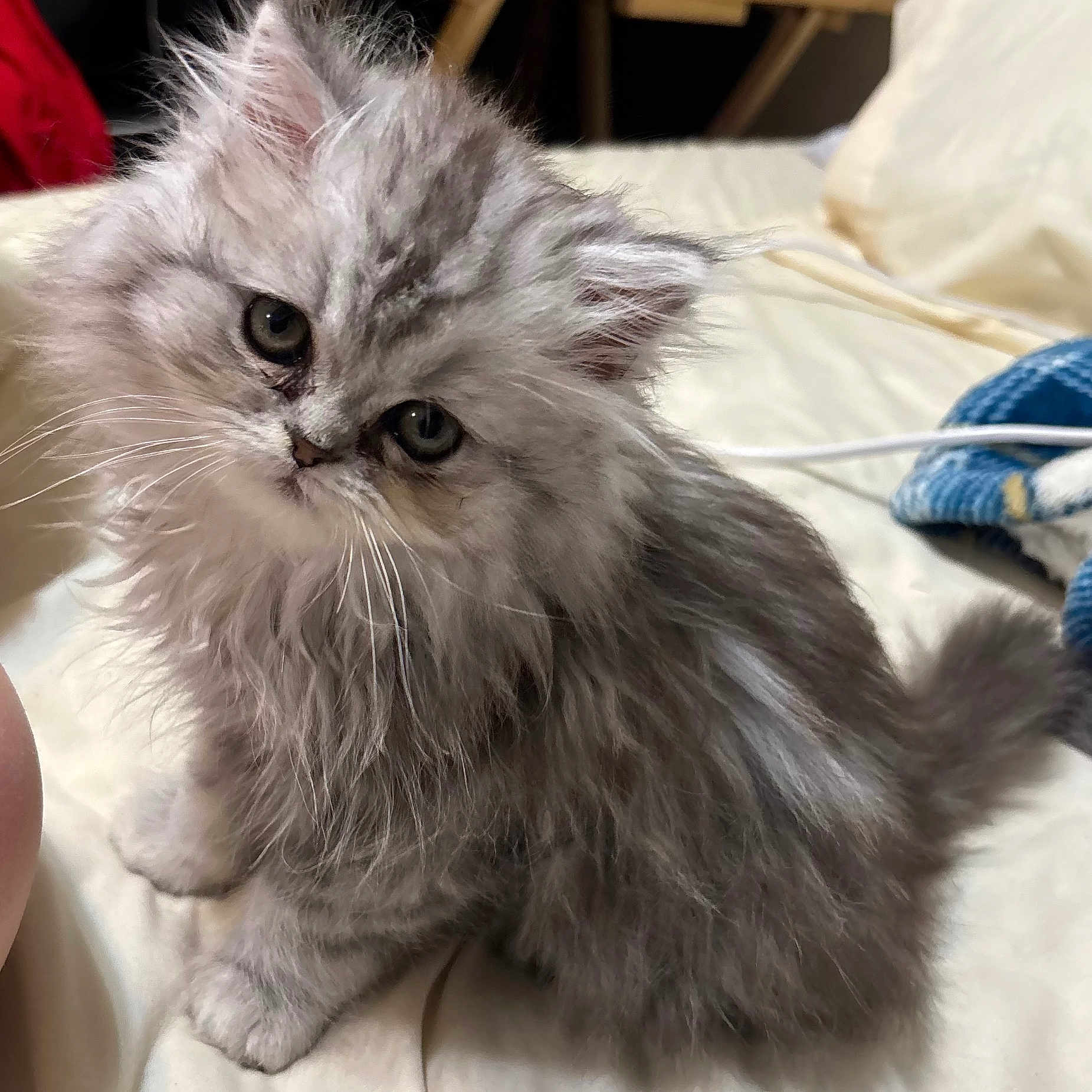 Charlie