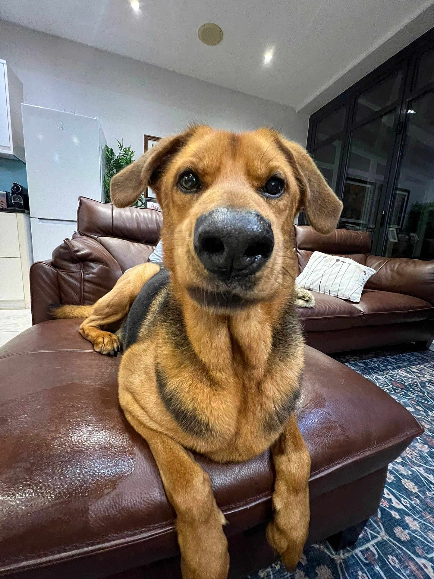 Max