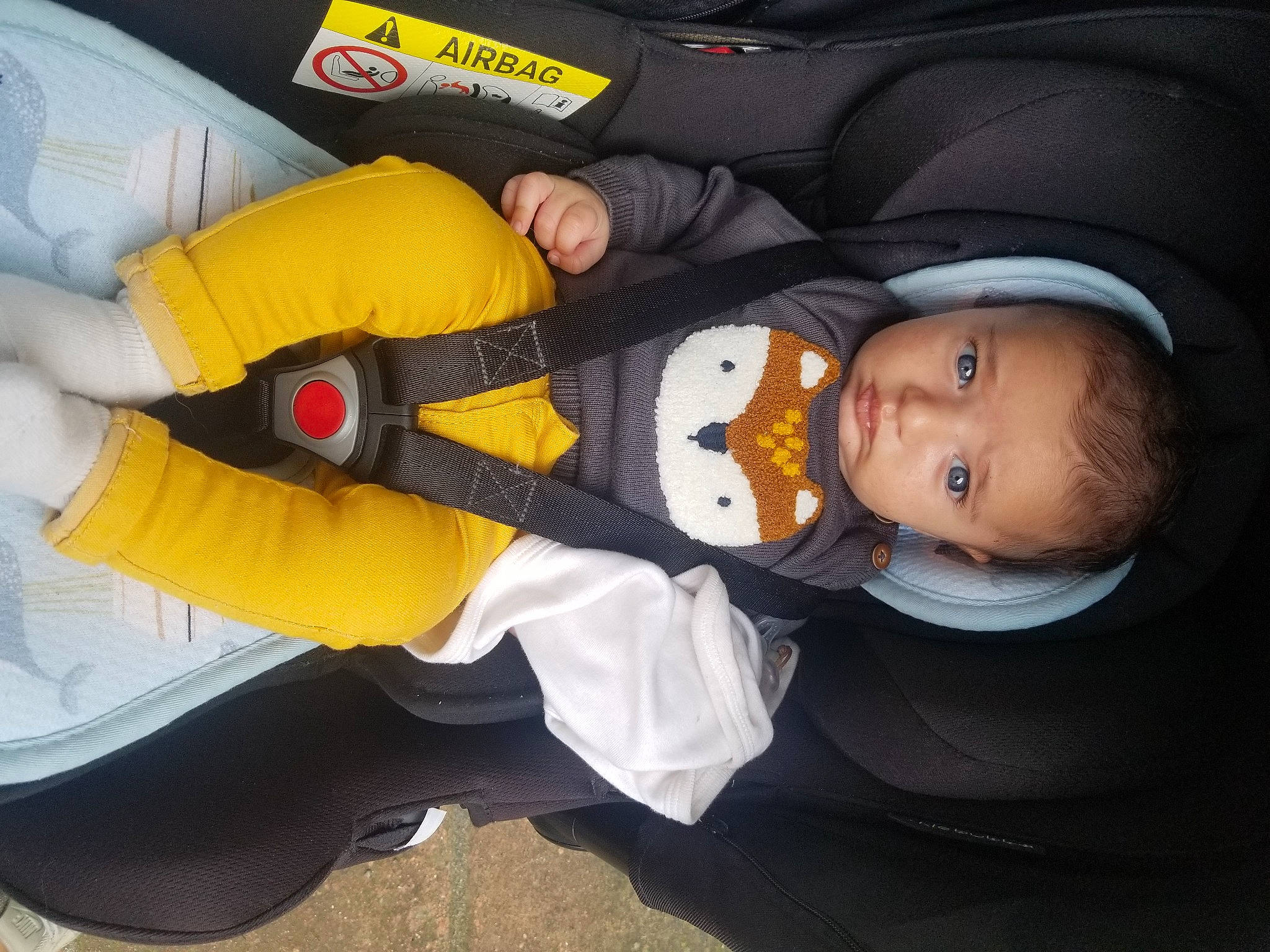 Erwann a rejoint le concours — aidez-le/la à gagner de superbes lots ! auto_part, baby, baby_carriage, baby_products, baby_toddler_clothing, car_seat, child, comfort, fun, gesture, glove, human_leg, knee, lap, nail, person, personal_protective_equipment, thumb, toddler, wrist