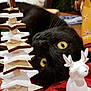 black_cat, yellow_eyes, wooden_star, felt_star, decorations, reindeer_figurine, holiday, festive, table, close_up, pet, animal, indoor, curious, whiskers, cute, laying_down, background_blur, feline, ornament