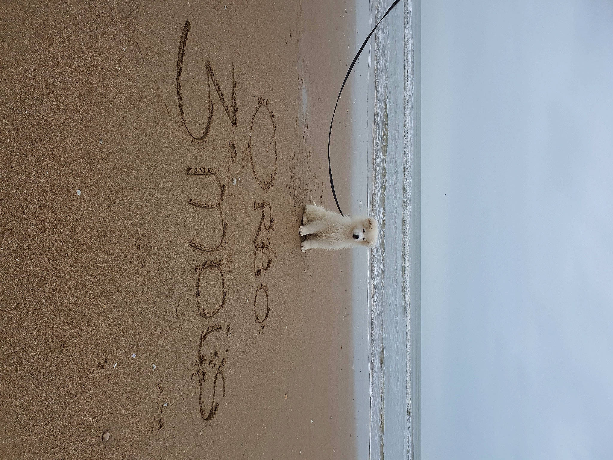 Oréo participe au concours pour gagner de l'argent avec cette photo : art, beach, composite_material, concrete, door, fluid, font, grey, handwriting, material_property, metal, paper, plaster, sky, wood