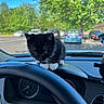 Thor Coppola joined the competition — help win amazing prizes! kitten, black_and_white, cat, dashboard, car_interior, steering_wheel, parking_lot, trees, blue_sky, vehicle, pet, animal, small, cute, feline, window, daytime, outdoor_view, nature, domestic_animal
