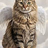 angel_cat, brown_fur, cat, cute, digital_art, fantasy, feathers, fluffy, front_view, green_eyes, halo, indoors, long_hair, portrait, sitting, soft_lighting, symmetrical_composition, tabby, white_background, wings