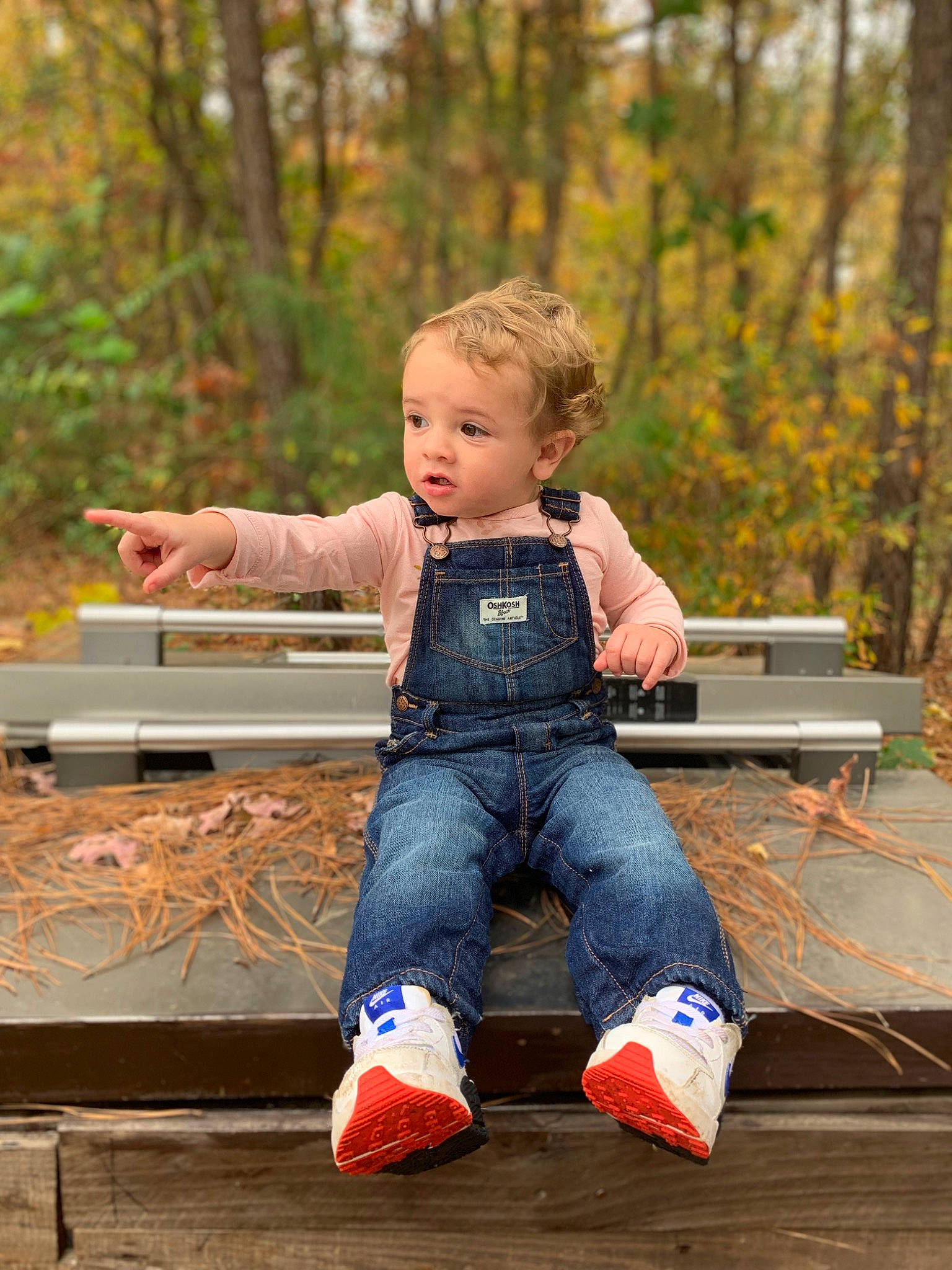 Brooklinn is registered to the contest to win money with this photo: autumn, baby, barefoot, bench, child, denim, fun, grass, happy, jeans, leaf, leg, leisure, person, plant, recreation, sitting, table, toddler, tree