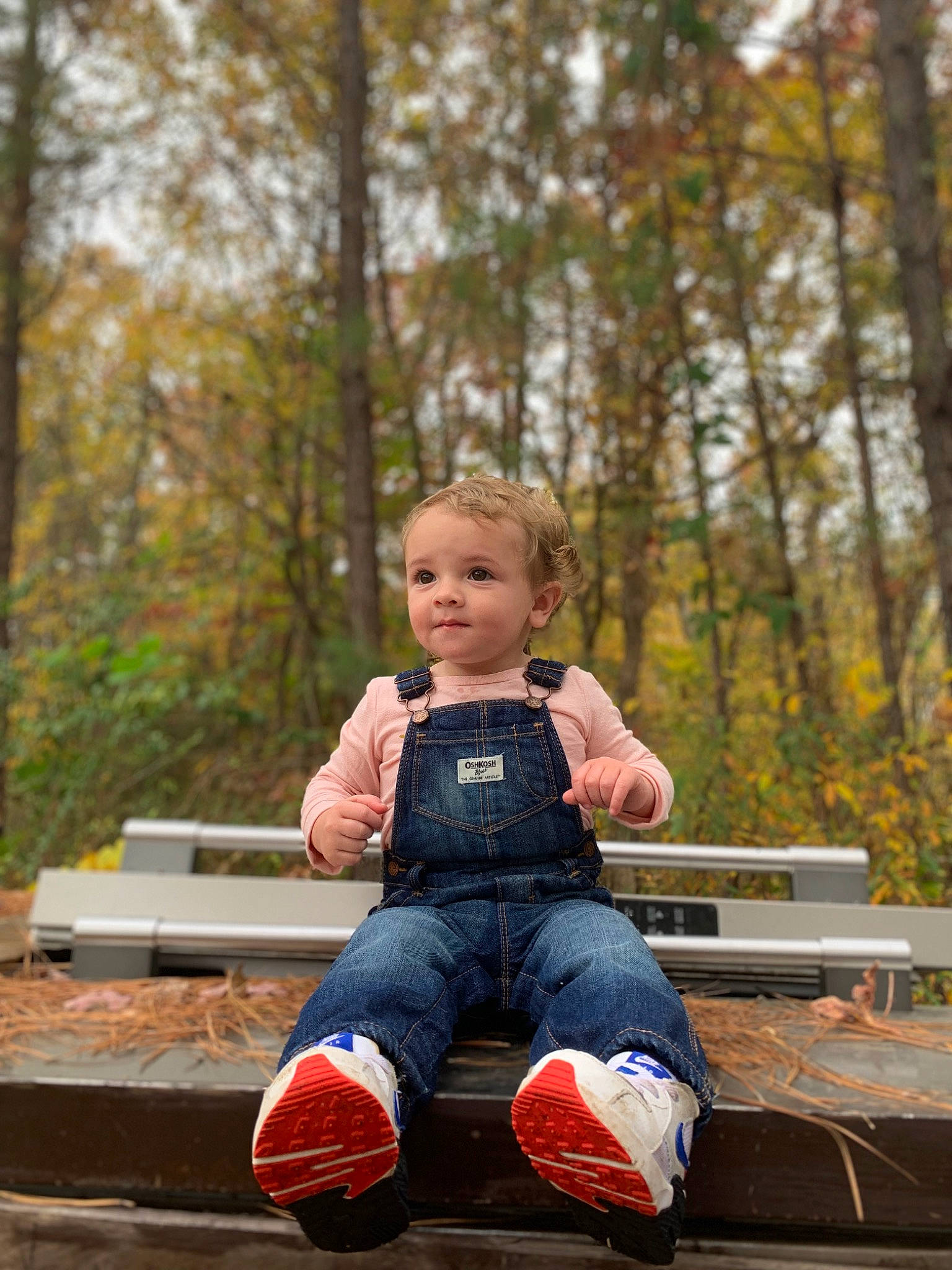 Brooklinn is registered to the contest to win money with this photo: bench, child, eye, face, fun, grass, happy, jeans, leg, leisure, people_in_nature, person, plant, recreation, sitting, sneakers, t_shirt, table, toddler, tree
