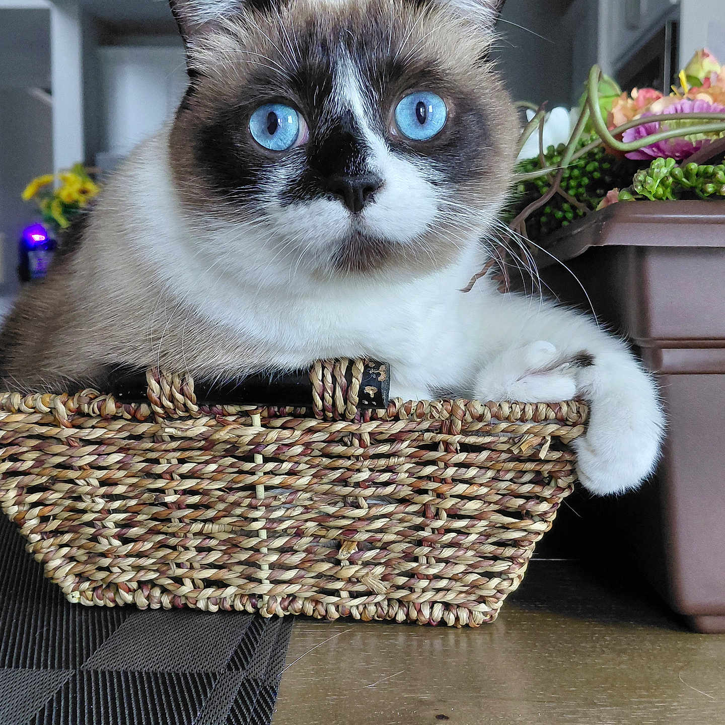Kiki
