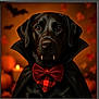 dog, black_dog, vampire_costume, bow_tie, fangs, halloween, portrait, candle, autumn, orange_background, bats, costume, pet, animal, cute, indoors, soft_lighting, close_up, black_fur, decor