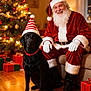 beard, black_labrador, christmas_presents, christmas_tree, couch, decorations, dog, festive, glowing_lights, happy, hat, holiday, indoor, red_and_white, red_suit, santa_claus, smiling, warm_lighting, white_gloves, wooden_floor