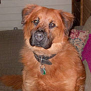 Harley joined the competition — help win amazing prizes!