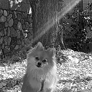 Lola joined the competition — help win amazing prizes!