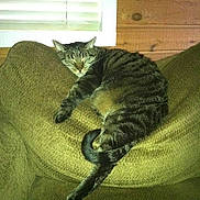 Diablo joined the competition — help win amazing prizes!