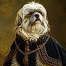 brown_and_white, cape, costume, dark_background, dog, fluffy, front_view, indoor, long_fur, ornate_clothing, painterly_style, pet, phone_screenshot, portrait, royal_pose, serious_expression, shih_tzu, sitting, small_dog, website_watermark