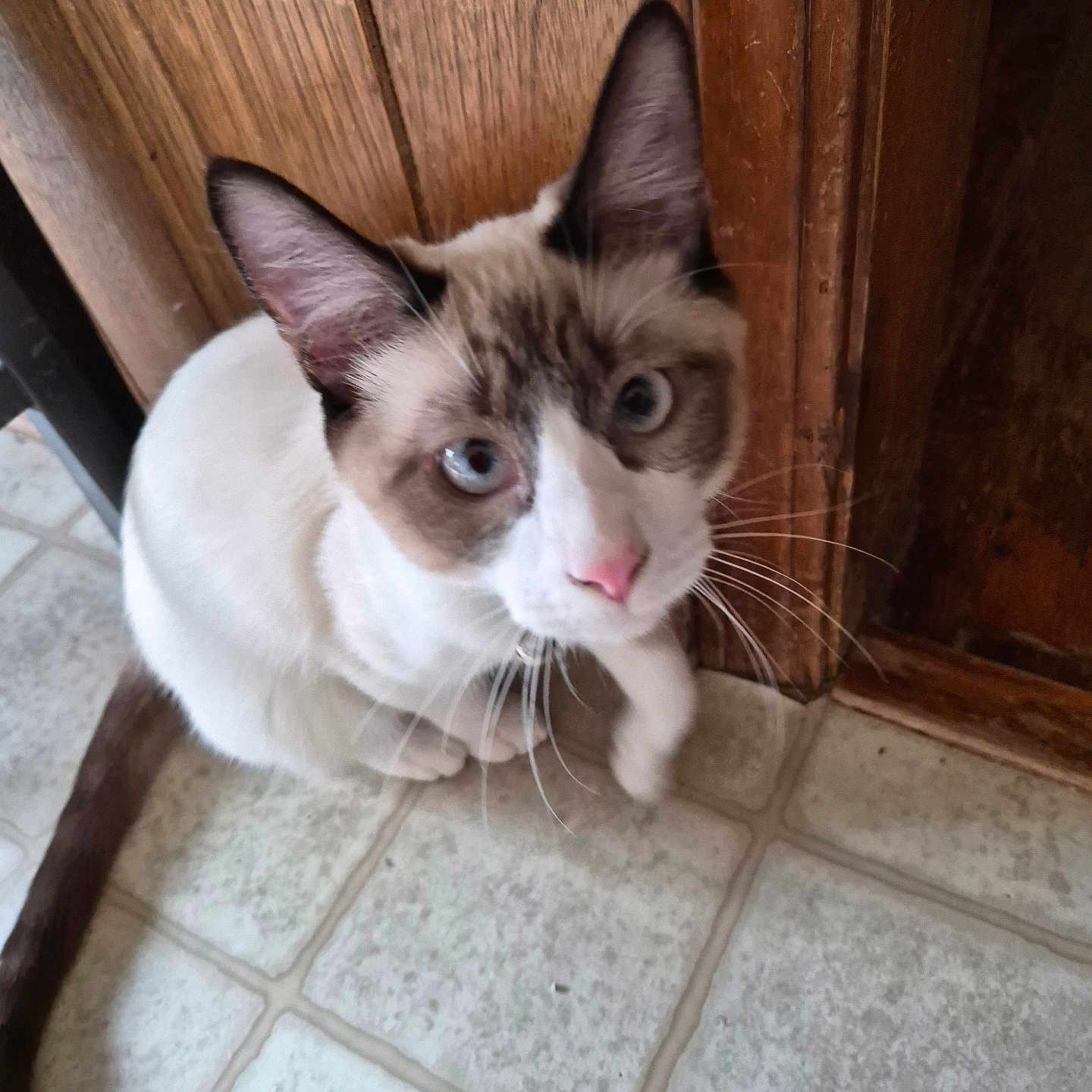 Finnley