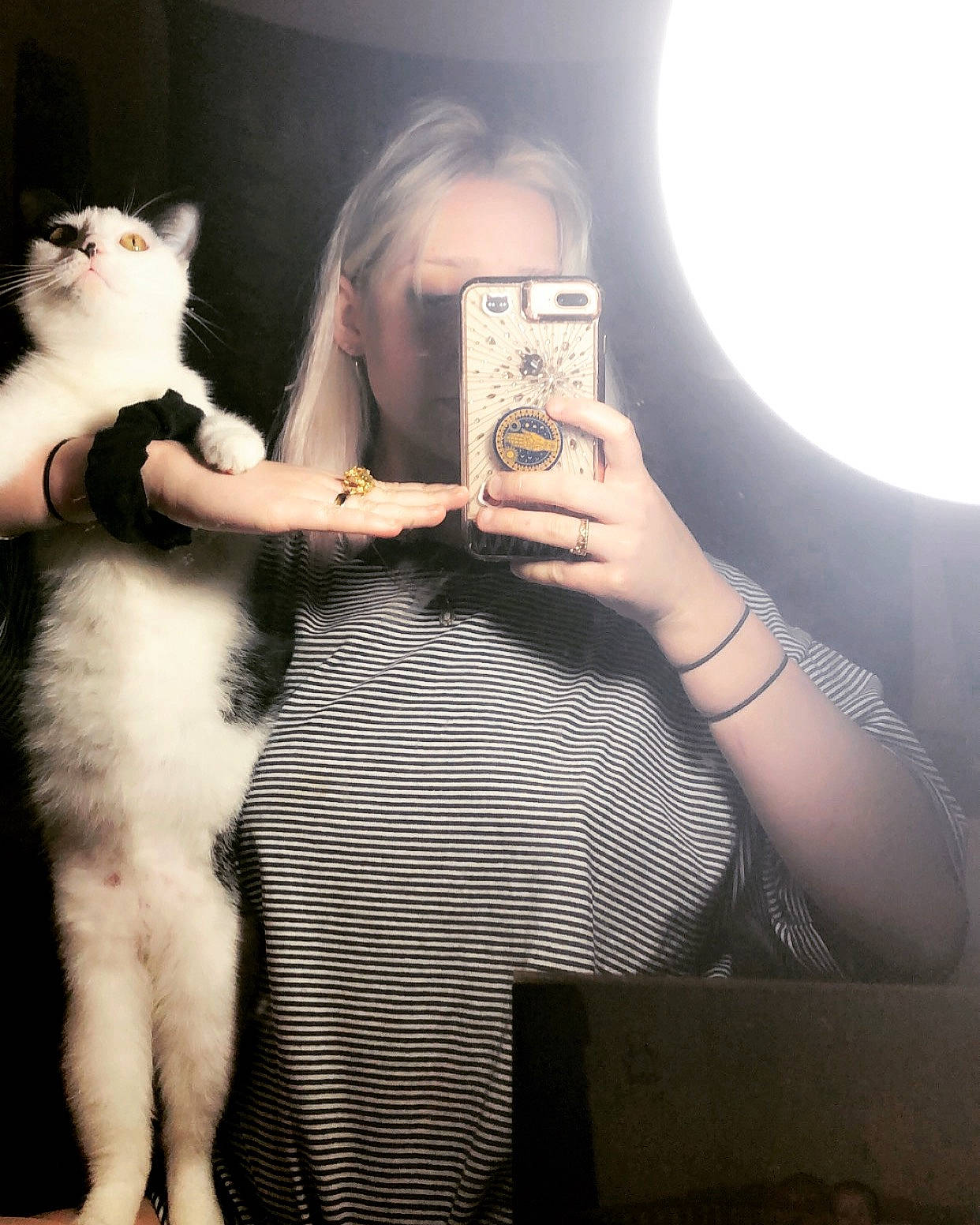 Kuro joined the competition — help win amazing prizes! abdomen, arm, cat, ear, felidae, fur, hand, human, joint, leg, long_hair, photography, selfie, shoulder, skin, small_to_medium_sized_cats, tail, trunk, turkish_van, whiskers