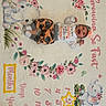 Amara is registered to the contest to win money with this photo: baby, baby_girl, carpet, celebration, child, clothing, cute, elephant, flowers, happy, headband, indoor, infant, lying_down, milestone_blanket, months, numbers, portrait, smiling, toddler