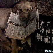 Fetiche participe au concours pour gagner de l'argent avec cette photo :