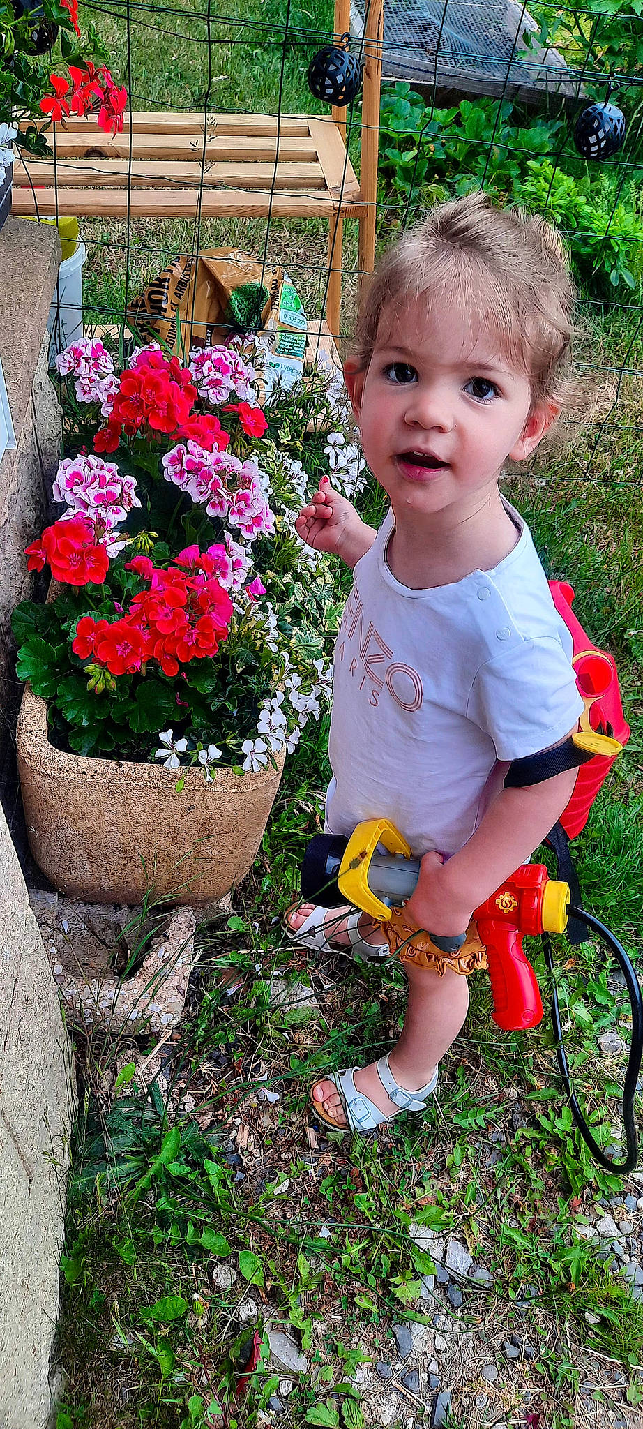Lou-ann participe au concours pour gagner de l'argent avec cette photo : annual_plant, baby_toddler_clothing, botany, child, flower, flowerpot, garden, grass, green, groundcover, herbaceous_plant, houseplant, people_in_nature, person, petal, pink, plant, red, shrub, summer
