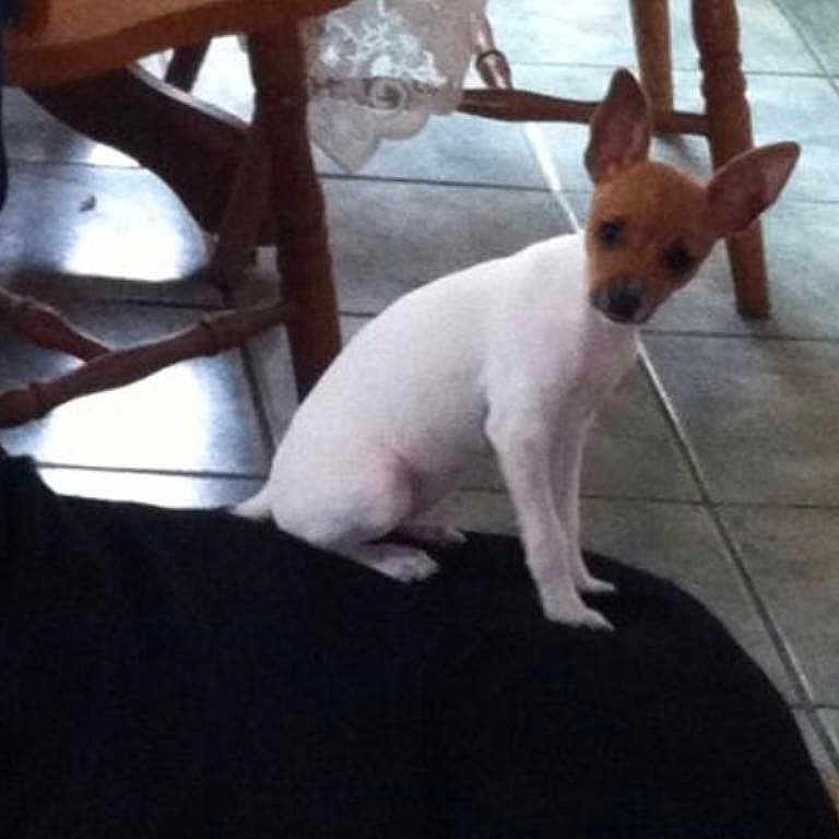 Pippi Loo is registered to the contest to win money with this photo: