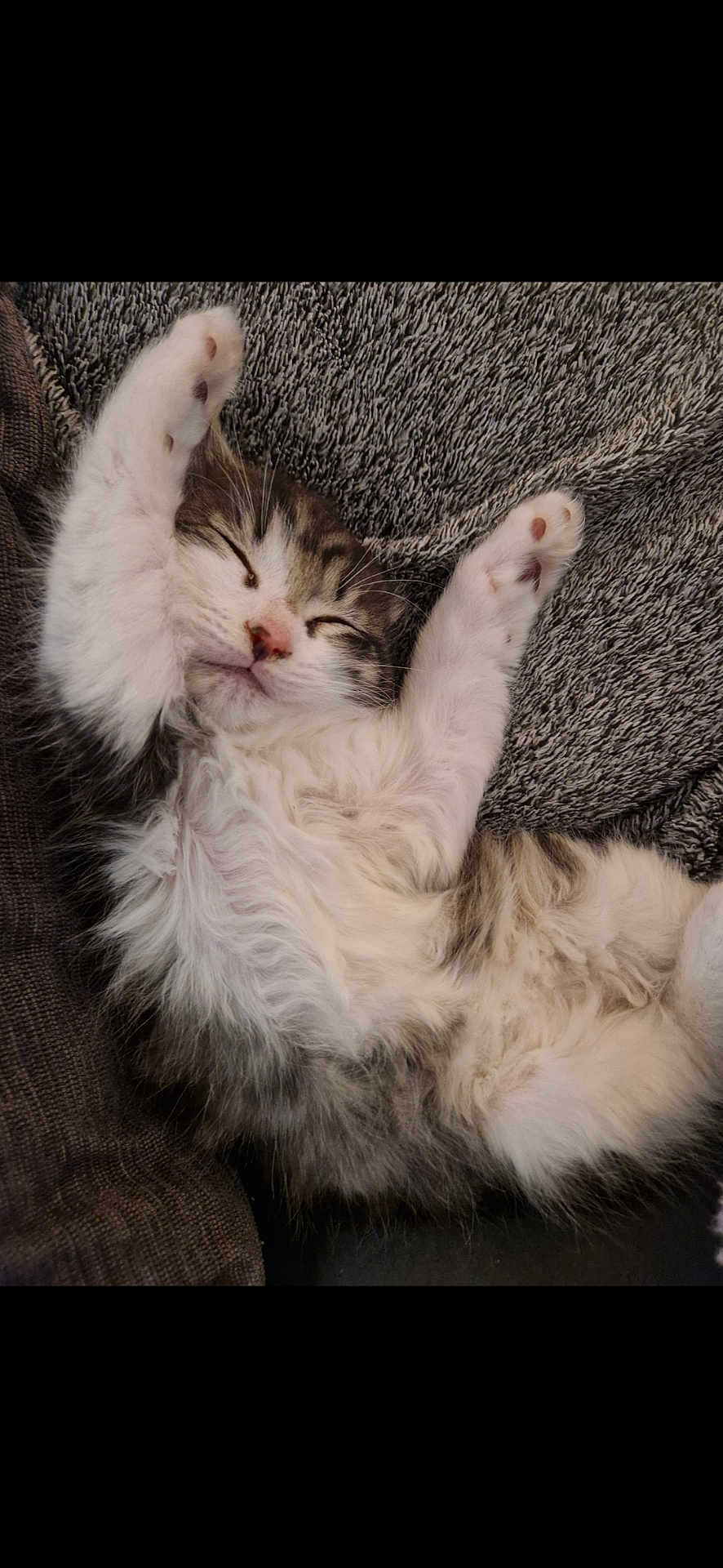 Nala